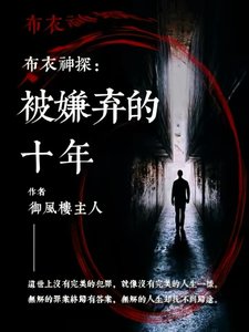 布衣神探:被嫌弃的十年