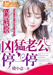 閃婚成愛:兇猛老公停一停