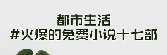 都市生活#火爆的免費小說十七部