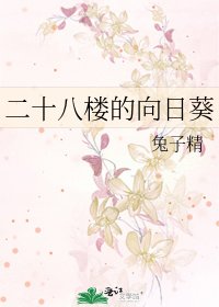 二十八楼的向日葵